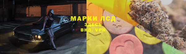 трава Абаза