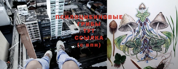 первитин Армянск