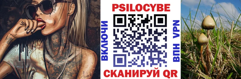 купить наркоту Ахтырский Псилоцибиновые грибы мицелий