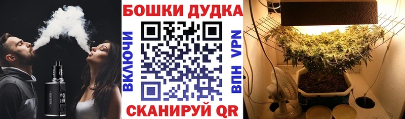 МАРИХУАНА семена Ахтырский